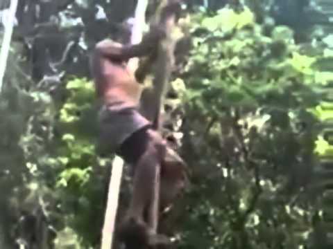 Elderly Man Teaches How To Climb A Tree